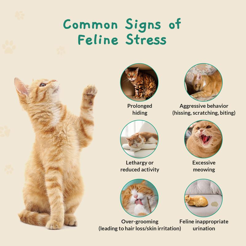 PAWITH Cat Calming Pop Patch (1 Box * 7 Patches) ,Long Lasting up to 48 Hours per Patch,Cat Pheromone to Help Reduce Conflicts and Signs of Tension in Multi-Cat Households.